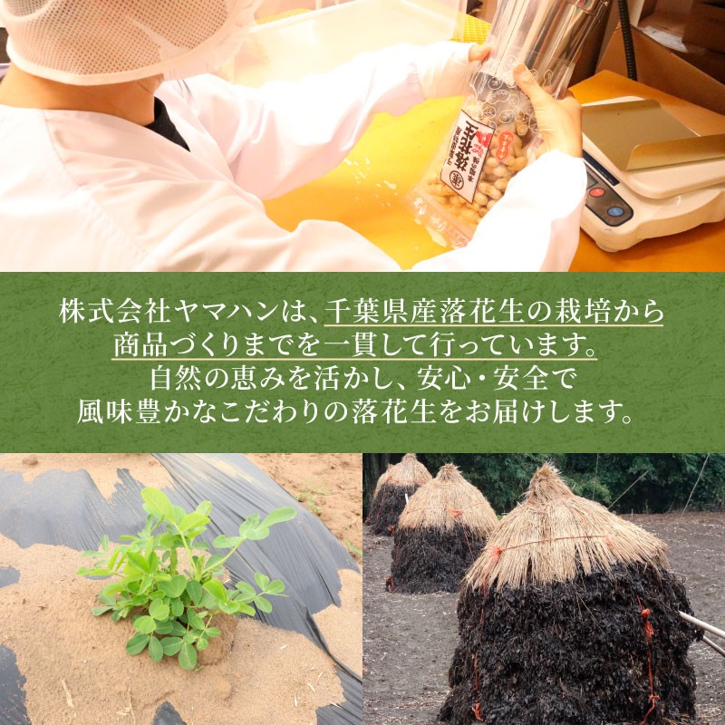 ＼最短7営業日以内発送／ 中実バタピー ピーナッツ 落花生 バタピー 選べる 容量 270g 〜 1kg