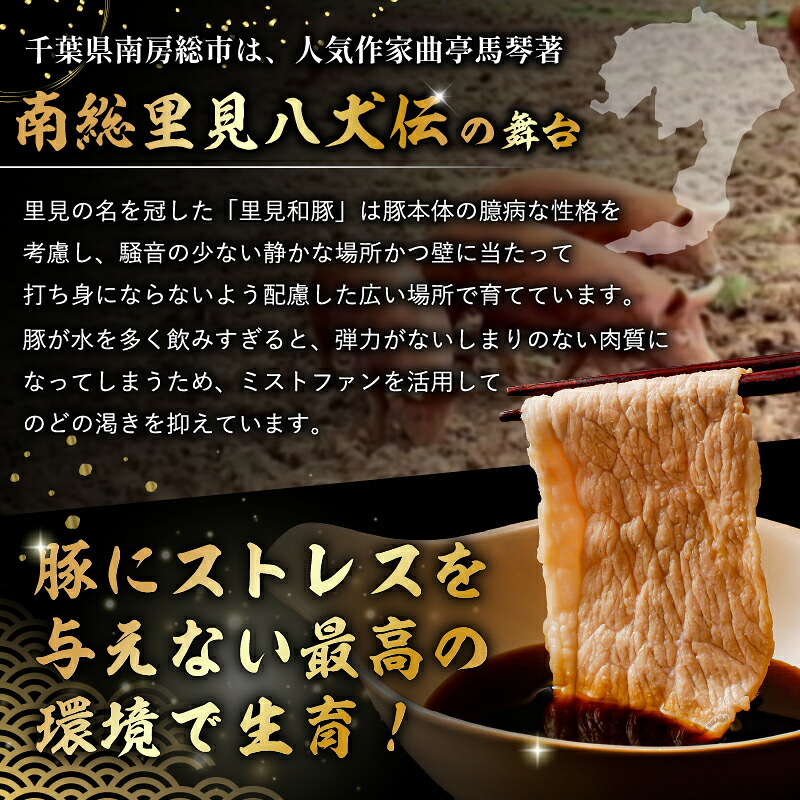 里見和豚 小分け 挽肉800g(100g×8パック)個別包装 トレイ不使用 mi0017-0007 【豚肉 お肉 国産 ブランド豚 挽肉 小分け】