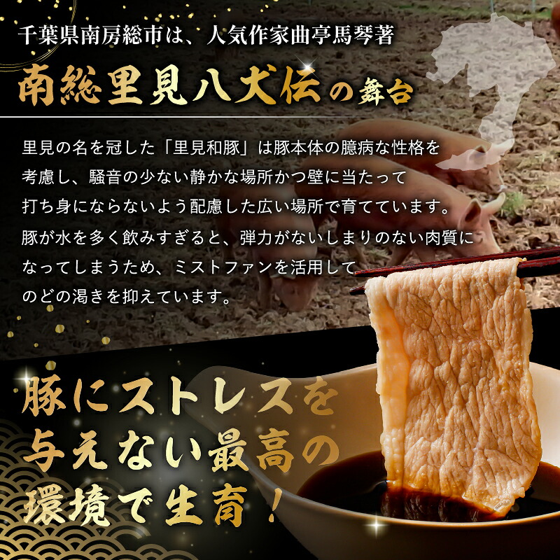 房総ブランド豚　里見和豚　挽肉2kg mi0017-0016