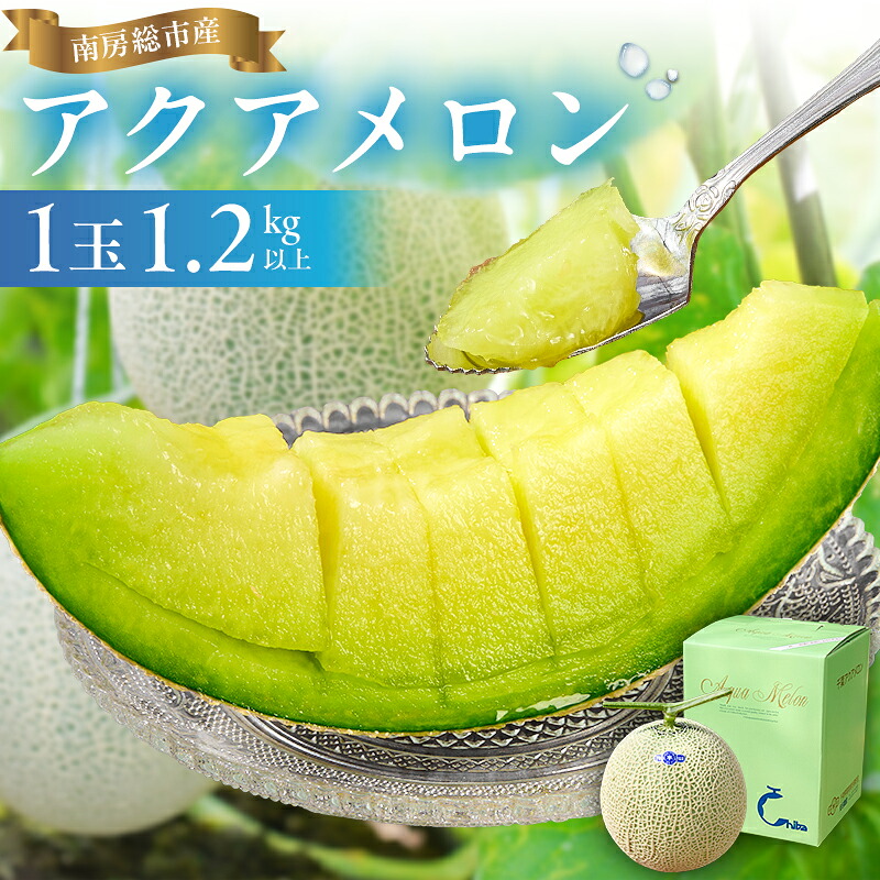 【TVで紹介！】【通常発送】南房総市産アクアメロン（マスクメロン）1個 mi0018-0001【メロン 青肉 ギフト 贈答 プレゼント フルーツ 果物】