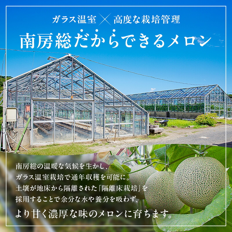 【TVで紹介!】【通常発送】南房総市産アクアメロン(マスクメロン)1個 mi0018-0001【メロン 青肉 ギフト 贈答 プレゼント フルーツ 果物】
