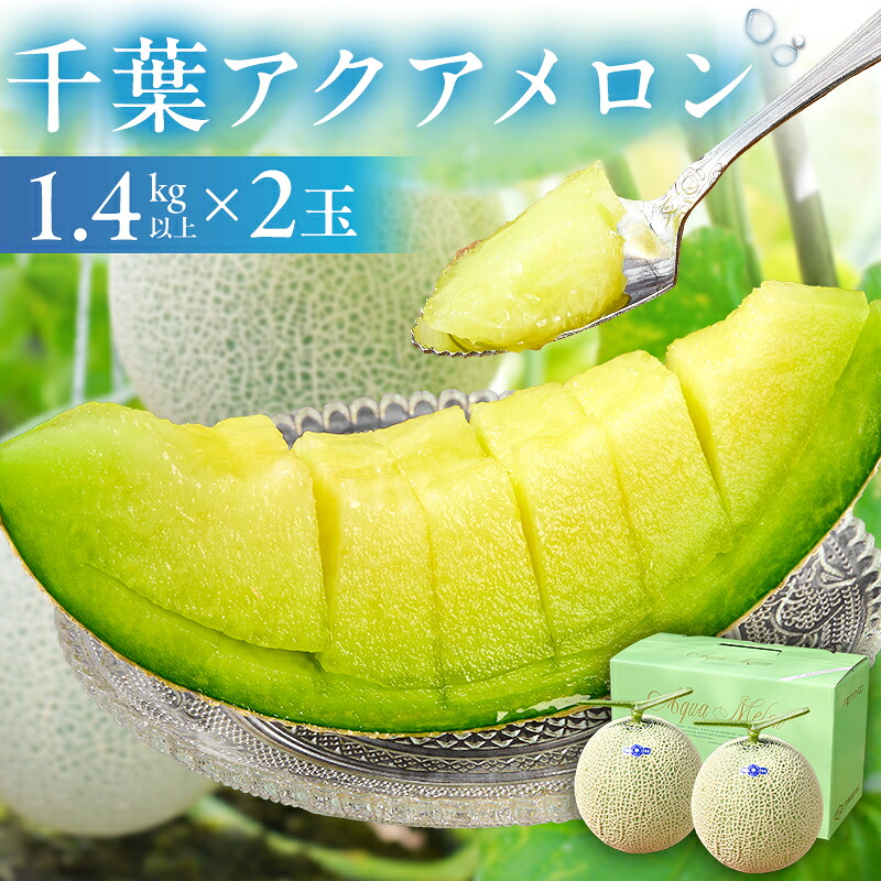 千葉アクアメロン マスクメロン 2玉