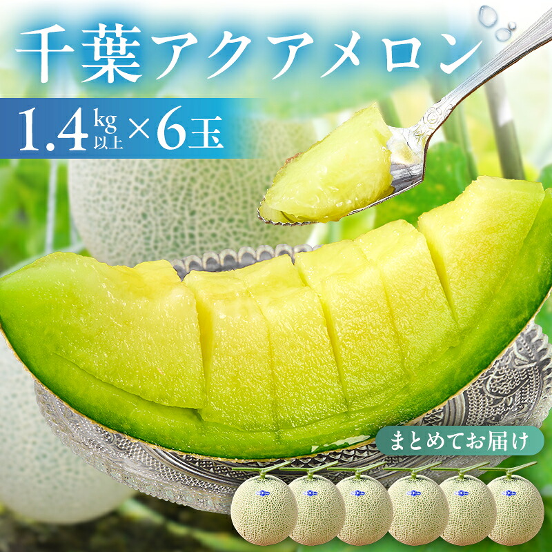 千葉アクアメロン マスクメロン 6玉