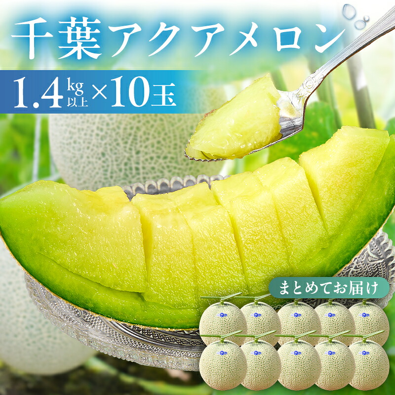千葉アクアメロン マスクメロン 10玉