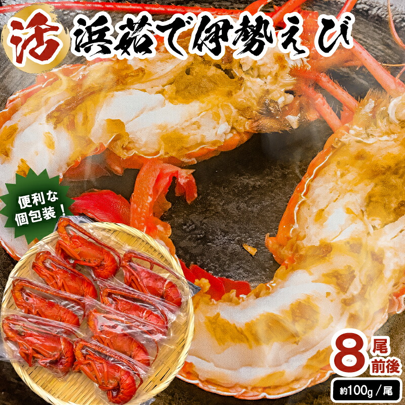 ボイル冷凍伊勢海老 約100g×8尾前後