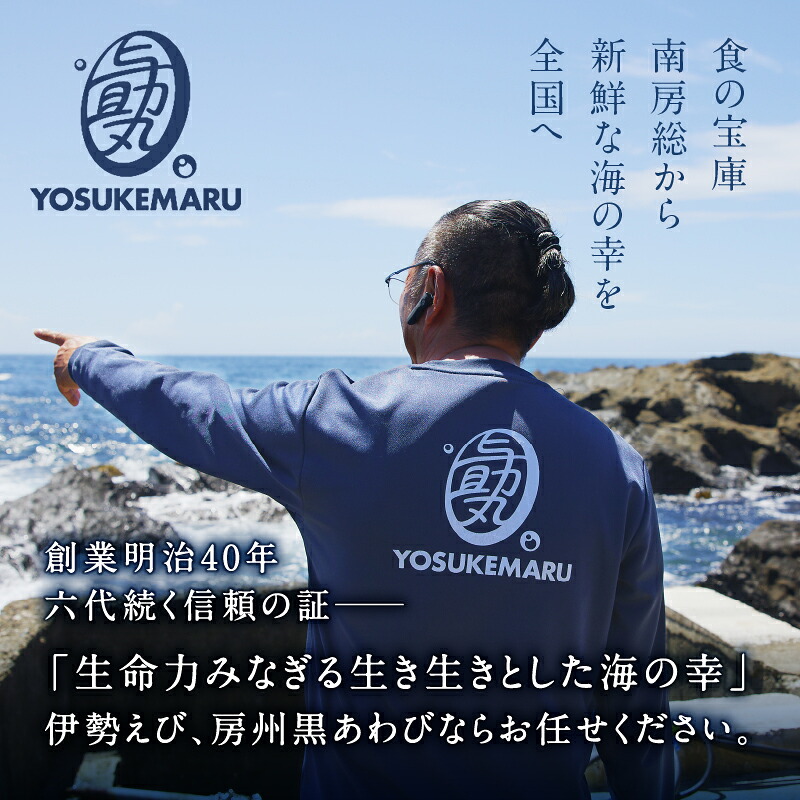 南房総新名物★伊勢海老しゃぶしゃぶ6尾セット mi0020-0004 魚介 海鮮 お祝い ギフト プレゼント 天然 海老 エビ 刺身 千葉 キャンプ BBQ バーベキュー 鍋 しゃぶしゃぶ セット 冷
