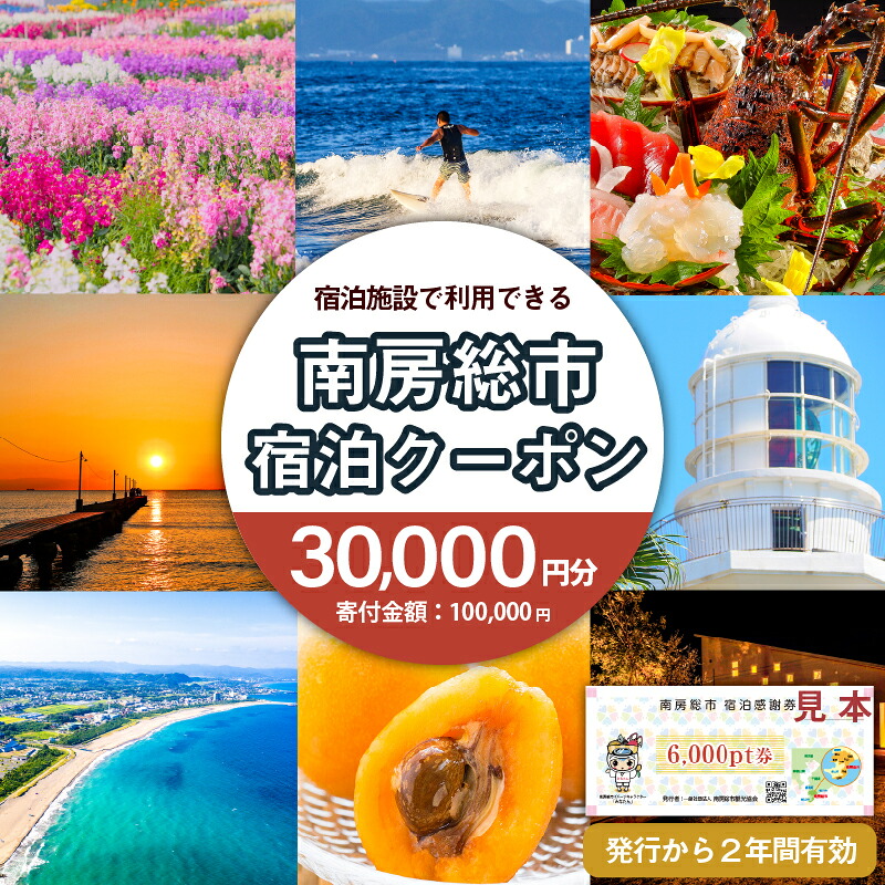 南房総市宿泊施設で利用できる感謝券 30,000pt 旅行チケット mi0023-0002 千葉 南房総市 旅行 チケット 宿泊 宿泊券 旅行券 ホテル 休息 リフレッシュ ファミリー ギフト 贈答