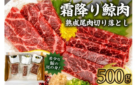 霜降り鯨肉 熟成尾肉 尾の身 切り落とし500g