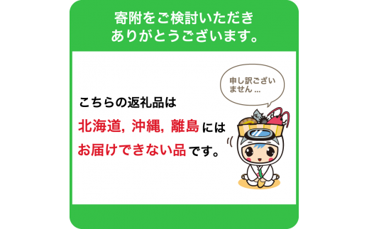 霜降り鯨肉/熟成尾肉（尾の身）切り落とし500g【訳あり不揃い】 mi0012-0045 鯨肉 くじら おつまみ 訳あり 希少 セット 冷凍 コラーゲン 鉄分 美容  高たんぱく