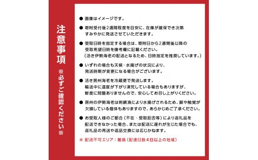 房州産大伊勢えび　約2kg mi0014-0004