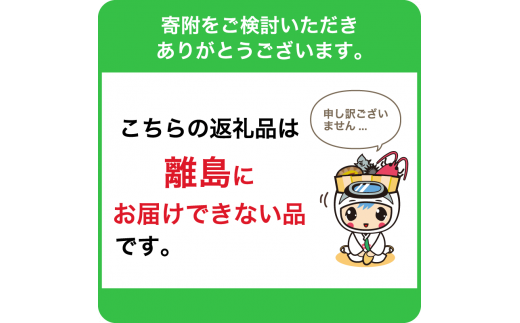 房州産大伊勢えび　約2kg mi0014-0004