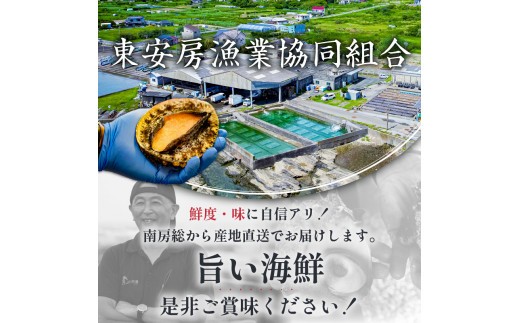 漁協特製あわび塩辛6個セット mi0014-0027