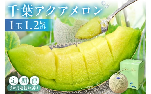 千葉アクアメロン1玉 1.2Kg