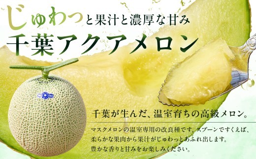 【定期便】【TVで紹介！】千葉アクアメロン1玉（1.2Kg）【3か月連続お届け】 mi0018-0004 メロン 青肉 ギフト 贈答 プレゼント フルーツ 果物