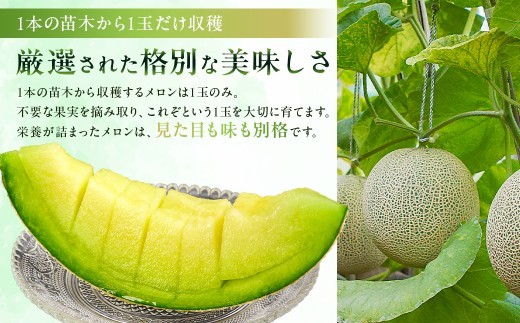 【定期便】【TVで紹介！】千葉アクアメロン1玉（1.2Kg）【3か月連続お届け】 mi0018-0004 メロン 青肉 ギフト 贈答 プレゼント フルーツ 果物