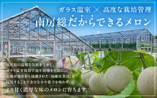 【定期便】【TVで紹介！】千葉アクアメロン1玉（1.2Kg）【3か月連続お届け】 mi0018-0004 メロン 青肉 ギフト 贈答 プレゼント フルーツ 果物