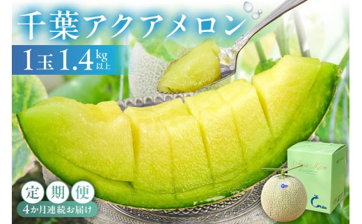 千葉アクアメロン1玉 1.4Kg