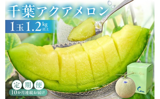 千葉アクアメロン1玉 1.2Kg