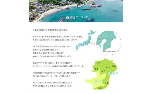 房総の駅とみうらご利用券 1000円分×3枚 mi0069-0001