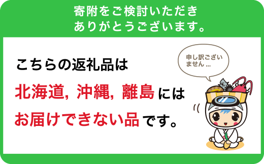 南房総産 生花（ひまわり）花束 10本 mi0070-0001