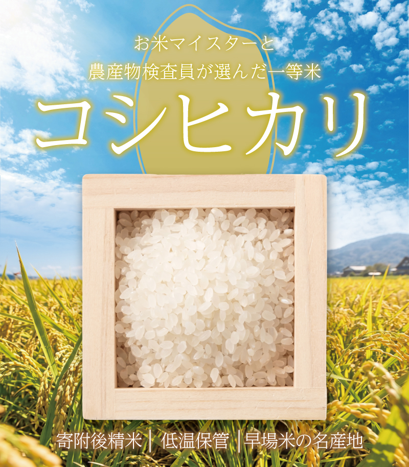 新米 コシヒカリ[精米]100kg(5kg×20袋) OYD014_R8_FC