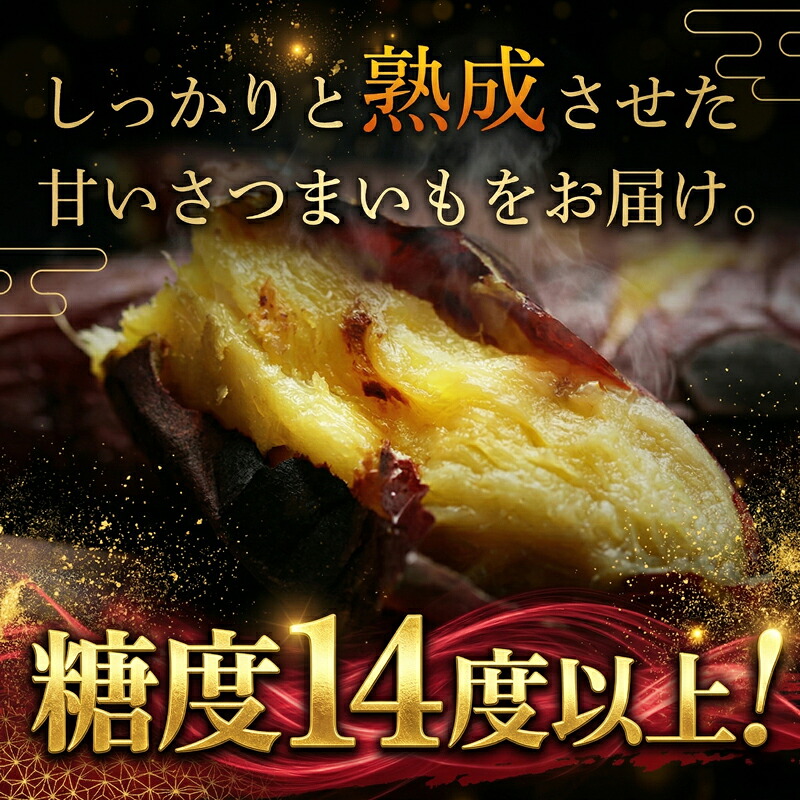 訳あり 紅はるか 約5kg 先行予約 【糖度14度以上】SDK001