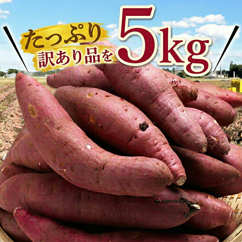 訳あり 紅はるか 約5kg 先行予約 【糖度14度以上】SDK001