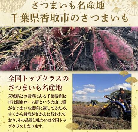 訳あり 紅はるか 約5kg 先行予約 【糖度14度以上】SDK001