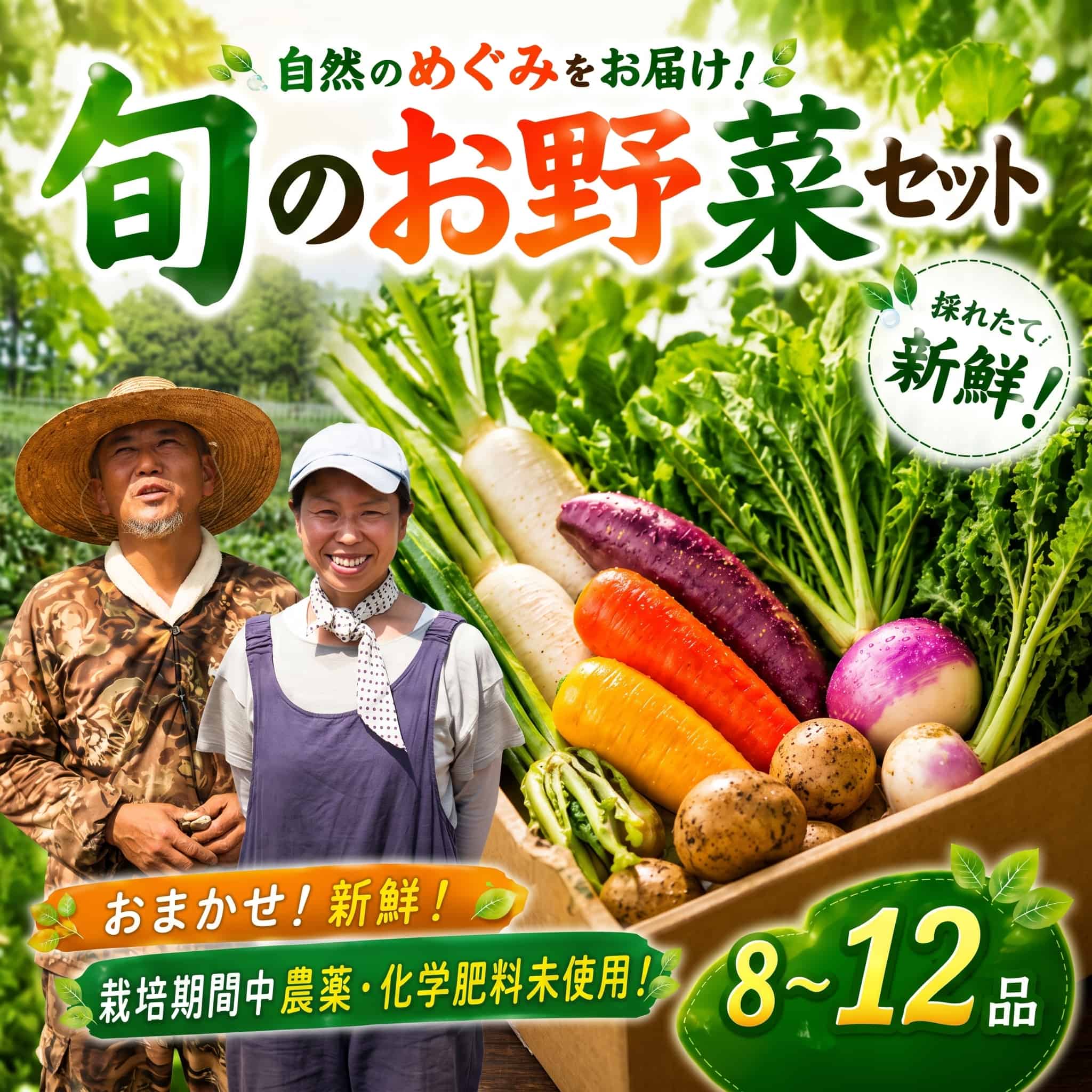 訳あり 紅はるか 約5kg 先行予約 【糖度14度以上】SDK001