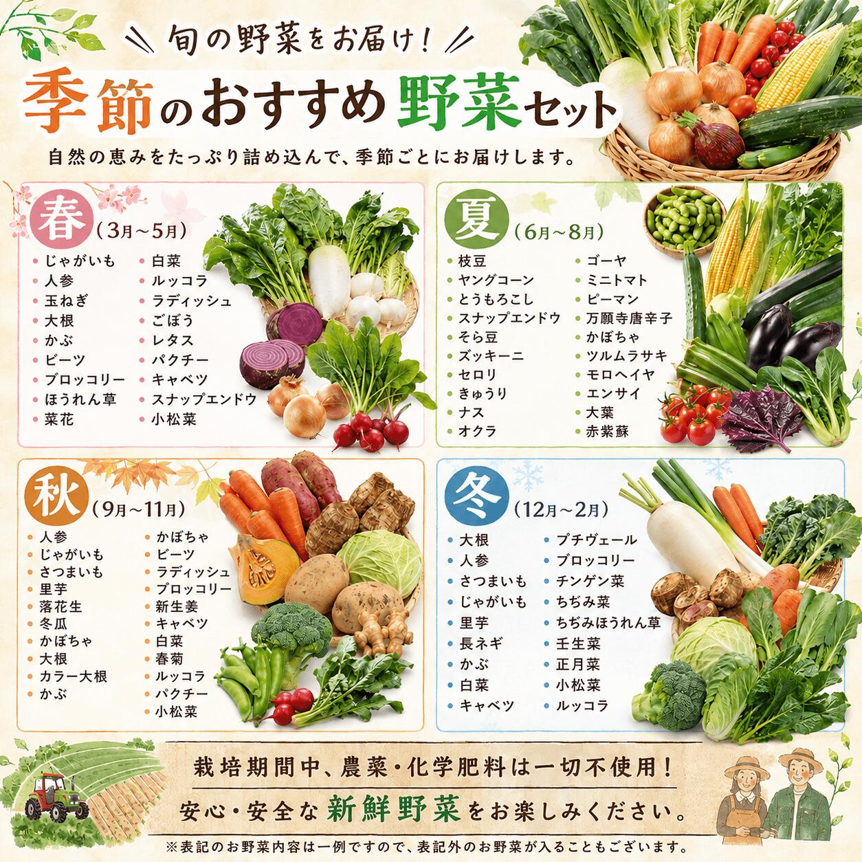 【栽培期間中農薬不使用】おまかせ 旬のお野菜セット 8~12品種 WGS002