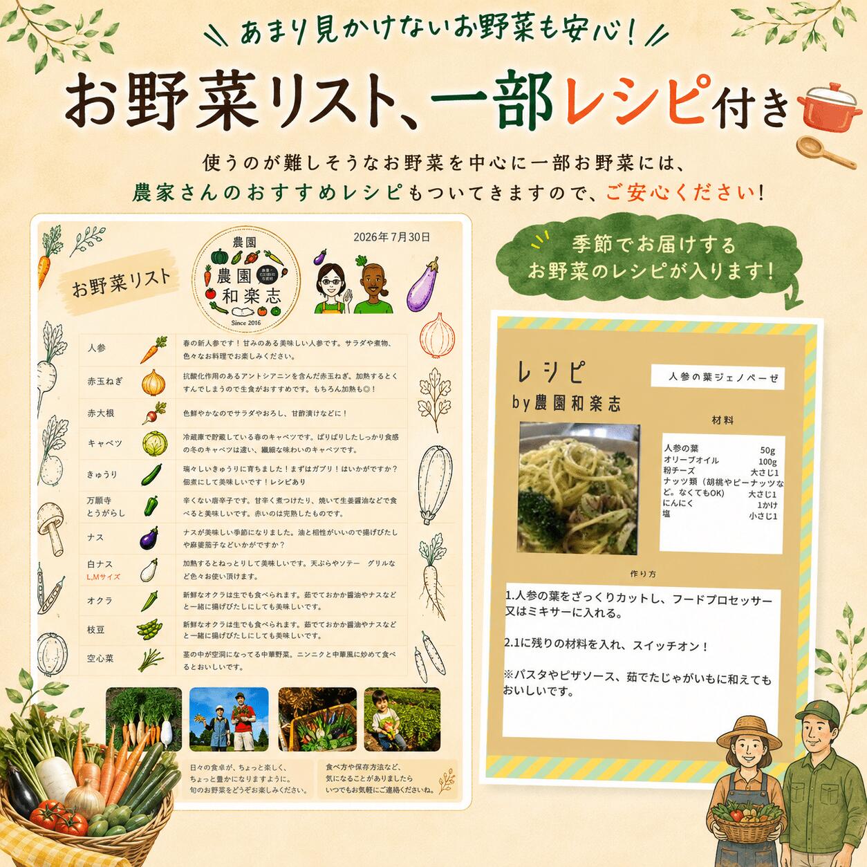 【栽培期間中農薬不使用】おまかせ 旬のお野菜セット 8~12品種 WGS002