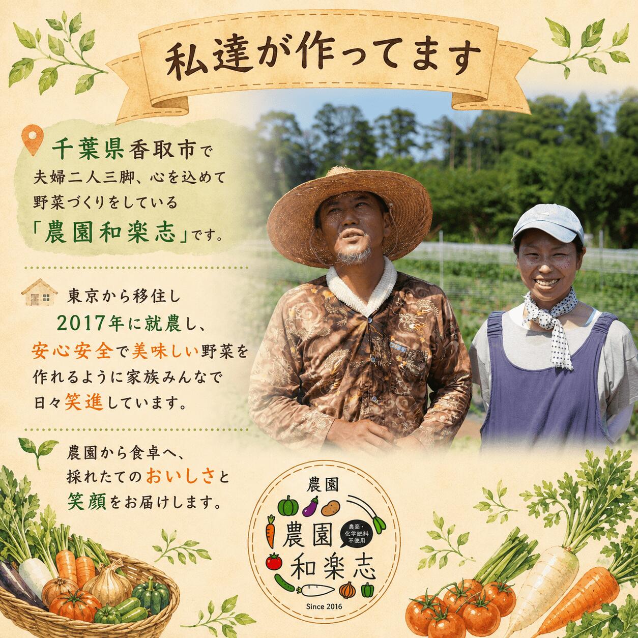 【栽培期間中農薬不使用】おまかせ 旬のお野菜セット 8~12品種 WGS002