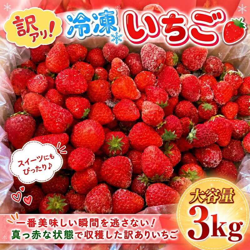 【訳あり】 冷凍いちご 3kg 冷凍 いちご 果物 フルーツ デザート アイス ジャム ヨーグルト スムージー ケーキ ストロベリー おやつ 苺 イチゴ ichigo 神奈川県 平塚市 湘南農業協同組合