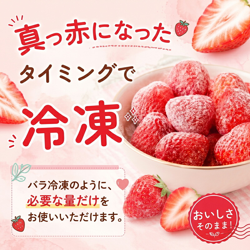 【訳あり】 冷凍いちご 3kg 冷凍 いちご 果物 フルーツ デザート アイス ジャム ヨーグルト スムージー ケーキ ストロベリー おやつ 苺 イチゴ ichigo 神奈川県 平塚市 湘南農業協同組合