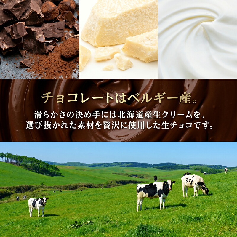 TheRich 奇跡の生チョコ Lサイズ 35粒 生チョコ生みの親 小林正和監修 葩亭プロデュース なめらか 滑らか 生チョコ ベルギー産 チョコレート 湘南ドルチェ 神奈川県 平塚市 みづほ野
