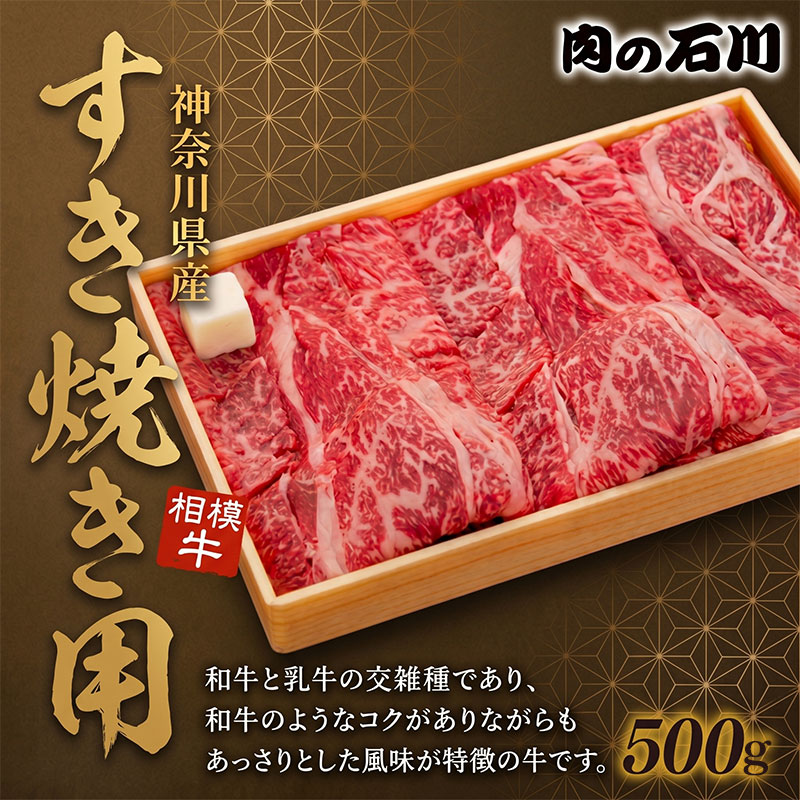 牛肉 神奈川県産 相模牛 すき焼き用 500g 国産牛 ロース すき焼き 肉 すきやき ぎゅうにく 牛 肩ロース ごちそう お取り寄せ 厳選 ギフト 贈り物 冷凍 神奈川県 平塚市 肉の石川
