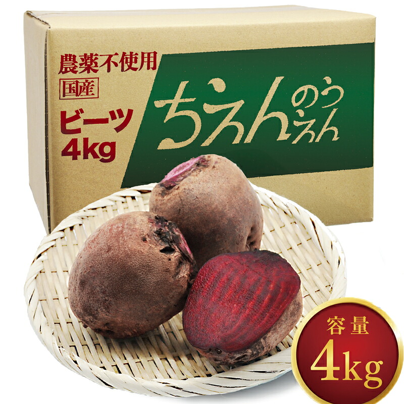 ビーツ 4kg 【最短翌日発送～3営業日以内発送】 新鮮 ビーツ 生 ビートルート 野菜 料理 スーパーフード 西洋野菜 やさい 農家直送 フレッシュ ボルシチ ポタージュ 神奈川県 平塚市 ちえん