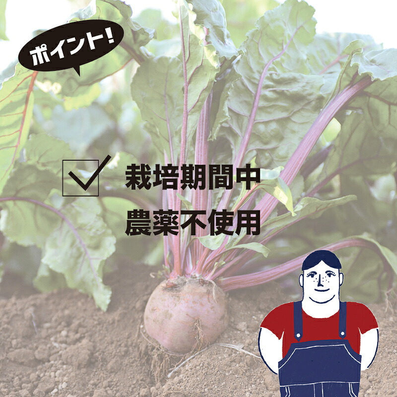 ビーツ水煮  200g × 7袋 1.4kg 【最短翌日発送～3営業日以内発送】 新鮮 ビーツ ビートルート 水煮 野菜 食べ物 料理 スーパーフード 西洋野菜 やさい 神奈川県 平塚市 ちえん
