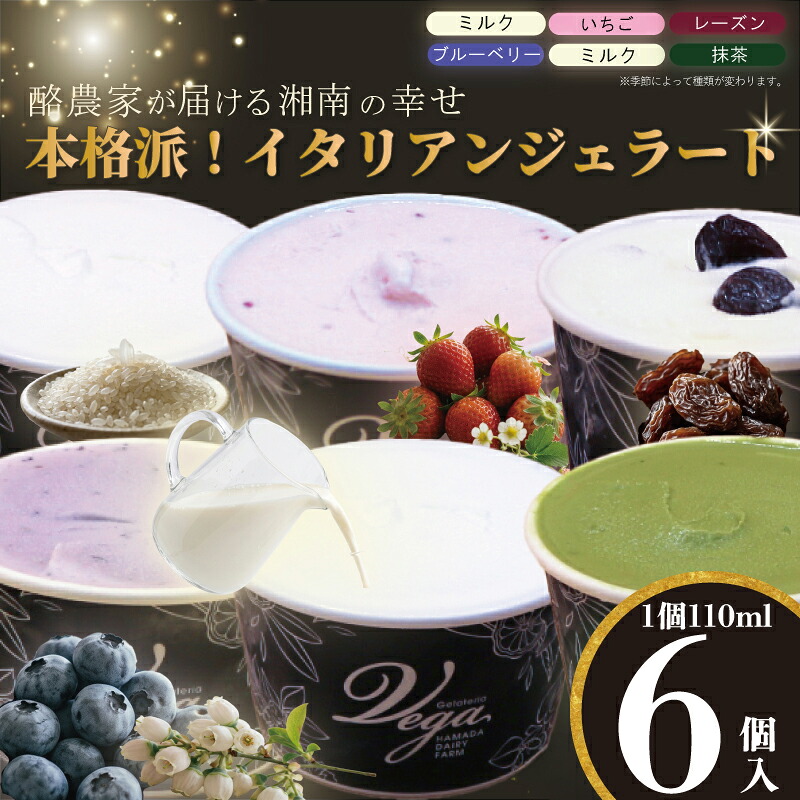 イタリアンジェラート 110ml 6個入 牧場直営 おまかせ セット 牧場 牛 湘南 野菜 フルーツ 果物 米 夏 アイス ジェラート おすすめ プレゼント 神奈川県 平塚市 ジェラテリアベガ