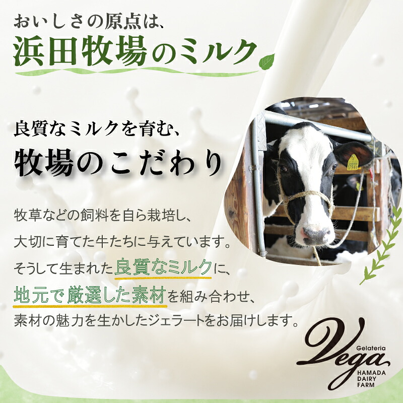 イタリアンジェラート 110ml 6個入 牧場直営 おまかせ セット 牧場 牛 湘南 野菜 フルーツ 果物 米 夏 アイス ジェラート おすすめ プレゼント 神奈川県 平塚市 ジェラテリアベガ