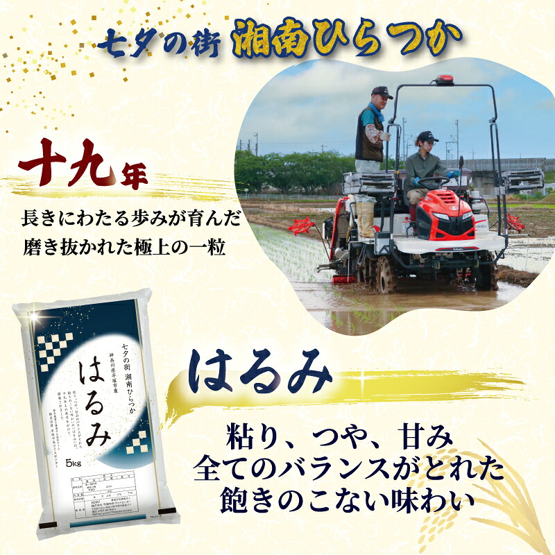米 キューブ米 6個入り 特A 受賞歴あり はるみ 真空キューブ米 ( 2合(300g)×6個入 ) 精米 お米 コメ こめ おにぎり 真空包装 ギフト 保存 神奈川県 平塚市 平塚中央ライスセンター