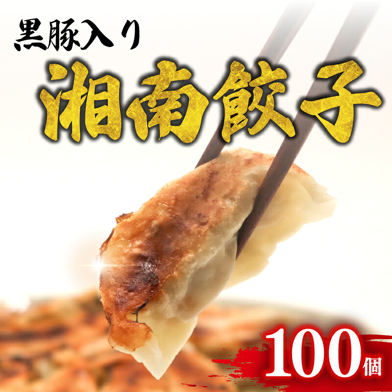 【黒豚入り！】 餃子 湘南餃子 100個 ( 50個 × 2 ) 餃子 ぎょうざ 冷凍 冷凍餃子 湘南餃子 焼き餃子 ギョーザ 餃子 冷凍ぎょうざ 冷凍おかず 冷凍惣菜 神奈川県 平塚市 湘南餃子工房