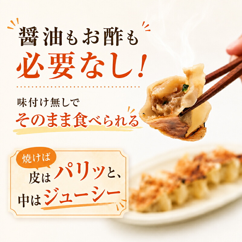 【黒豚入り！】 餃子 湘南餃子 100個 ( 50個 × 2 ) 餃子 ぎょうざ 冷凍 冷凍餃子 湘南餃子 焼き餃子 ギョーザ 餃子 冷凍ぎょうざ 冷凍おかず 冷凍惣菜 神奈川県 平塚市 湘南餃子工房