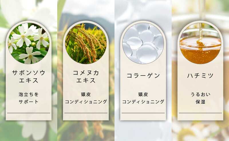 ノンシリコン【カプレーブアミニーシャンプー】艶やかな髪へ 300mL