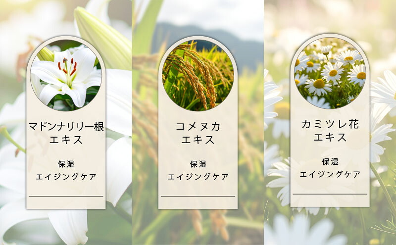 シルク・真珠エキス配合【カプレーブ シルキオトリートメント】髪にハリとコシ 200g