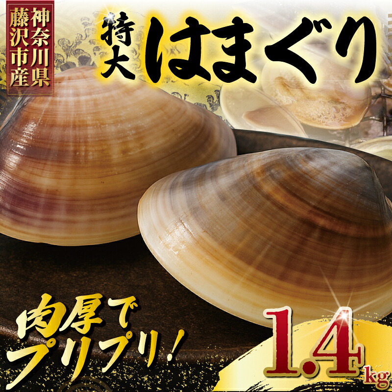 はまぐり 蛤 大粒 約 1.4kg 砂抜き 済み LLサイズ ハマグリ 湘南はまぐり 冷凍 魚介 魚貝 冷凍 海鮮 水産加工品 水産品 海産物 魚 貝 だし ダシ 出汁 味噌汁 酒蒸し グラタン