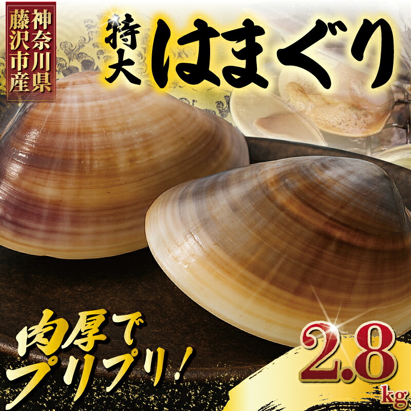 はまぐり 蛤 大粒 約 2.8kg 砂抜き 済 LLサイズ ハマグリ 湘南はまぐり 冷凍 魚介 魚貝 冷凍 海鮮 水産加工品 水産品 海産物 魚 貝 だし ダシ 出汁 酒蒸し 味噌汁 酒蒸し グラタン