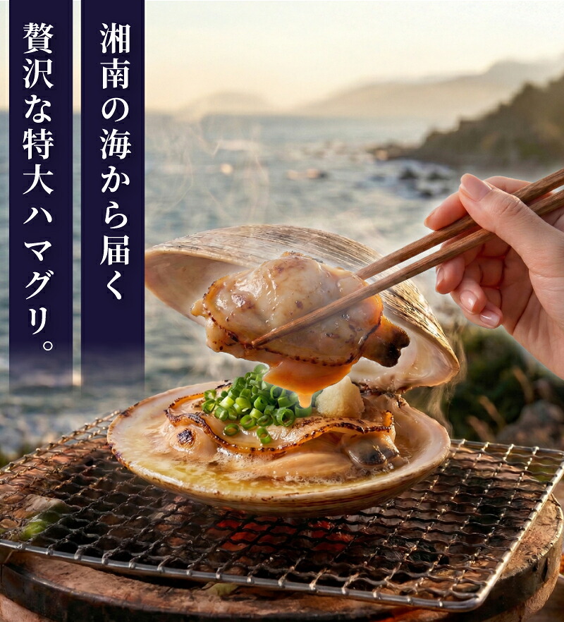 はまぐり 蛤 大粒 約 2.8kg 砂抜き 済 LLサイズ ハマグリ 湘南はまぐり 冷凍 魚介 魚貝 冷凍 海鮮 水産加工品 水産品 海産物 魚 貝 だし ダシ 出汁 酒蒸し 味噌汁 酒蒸し グラタン