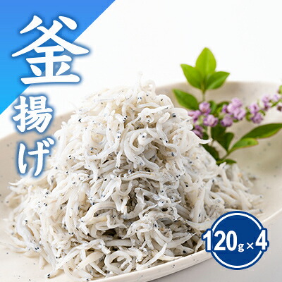 釜揚げしらす しらす 計480g 120g × 4 パック シラス 魚 釜揚げ 湘南しらす しらすごはん shirasu sirasu 冷凍しらす 人気シラス じゃこ ちりめん しらす干し イワシ