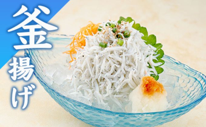 釜揚げしらす しらす 計480g 120g × 4 パック シラス 魚 釜揚げ 湘南しらす しらすごはん shirasu sirasu 冷凍しらす 人気シラス じゃこ ちりめん しらす干し イワシ